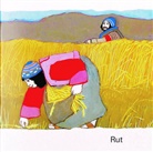 Kees de Kort, Kees de Kort - Rut