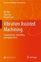 Wei Bai, Yuan Gao, Ronglei Sun - Vibration Assisted Machining