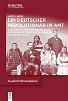 Julius Wilm - Ein deutscher Revolutionär im Amt