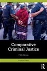 Francis Pakes, Pakes Francis - Comparative Criminal Justice