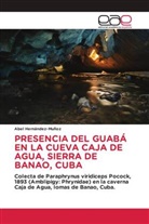 Abel Hernández-Muñoz - PRESENCIA DEL GUABÁ EN LA CUEVA CAJA DE AGUA, SIERRA DE BANAO, CUBA