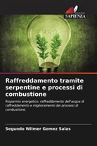 Segundo Wilmer Gomez Salas - Raffreddamento tramite serpentine e processi di combustione