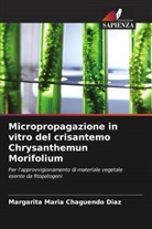 Margarita Maria Chaguendo Diaz - Micropropagazione in vitro del crisantemo Chrysanthemun Morifolium