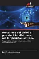 Jamilya Asanbekova - Protezione dei diritti di proprietà intellettuale nel Kirghizistan sovrano
