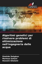 Shahide Dehghan, Hossein Gholami, Morteza Soltani - Algoritmi genetici per risolvere problemi di ottimizzazione nell'ingegneria delle acque