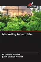 Juliet Gladson-Nwokah, N. Gladson Nwokah - Marketing industriale