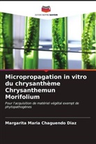 Margarita Maria Chaguendo Diaz - Micropropagation in vitro du chrysanthème Chrysanthemun Morifolium