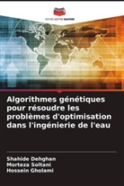 Shahide Dehghan, Hossein Gholami, Morteza Soltani - Algorithmes génétiques pour résoudre les problèmes d'optimisation dans l'ingénierie de l'eau