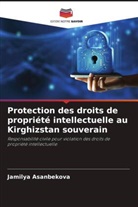 Jamilya Asanbekova - Protection des droits de propriété intellectuelle au Kirghizstan souverain