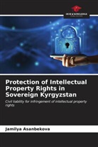Jamilya Asanbekova - Protection of Intellectual Property Rights in Sovereign Kyrgyzstan