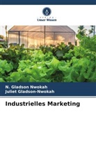 Juliet Gladson-Nwokah, N Gladson Nwokah, N. Gladson Nwokah - Industrielles Marketing