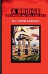 Özer Mumcu - A Bridge Between Maths and Art