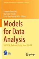 Eugenio Brentari, Ernst-Jan Camiel Wit, Marcello Chiodi, Ernst-Jan Camiel Wit - Models for Data Analysis