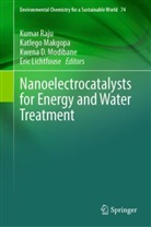 Kwena D Modibane et al, Eric Lichtfouse, Katlego Makgopa, Kwena D. Modibane, Kumar Raju - Nanoelectrocatalysts for Energy and Water Treatment