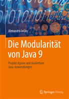 Jecan, Alexandru Jecan - Die Modularität von Java 9