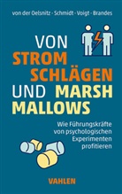 Nico Brandes, Dietrich von der Oelsnitz, Johannes Schmidt, Voigt, Ludger Voigt - Von Stromschlägen und Marshmallows