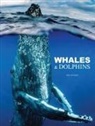 Tom Jackson - Whales & Dolphins