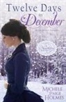 Michele Paige Holmes - Twelve Days in December