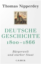 Thomas Nipperdey - Deutsche Geschichte 1800-1866