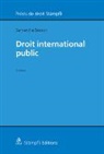Samantha Besson - Droit international public
