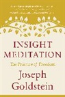 Joseph Goldstein - Insight Meditation