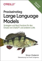 Sinan Ozdemir - Praxiseinstieg Large Language Models