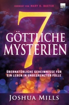 Joshua Mills - 7 göttliche Mysterien