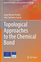 Julia Contreras-García, Ángel Martín Pendás - Topological Approaches to the Chemical Bond