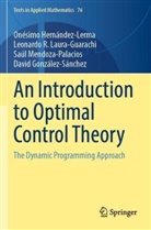 David González-Sánchez, Onésimo Hernández-Lerma, Leonardo Laura-Guarachi, Leonardo R. Laura-Guarachi, Saul Mendoza-Palacios - An Introduction to Optimal Control Theory