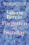 Valerie Perrin, Valérie Perrin - Forgotten on Sunday