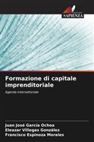 Francisco Espinoza Morales, Juan José García Ochoa, Eleazar Villegas González - Formazione di capitale imprenditoriale