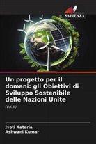 Jyoti Kataria, Ashwani Kumar - Un progetto per il domani: gli Obiettivi di Sviluppo Sostenibile delle Nazioni Unite