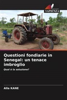 Alla Kane - Questioni fondiarie in Senegal: un tenace imbroglio