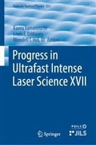 Louis F. Dimauro, Louis F DiMauro, Iii Hill, Wendell T Hill III, Kaoru Yamanouchi - Progress in Ultrafast Intense Laser Science XVII