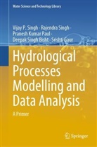 Deepak Singh Bisht, Srishti Gaur, Pranesh Kumar Paul, Rajendra Singh, Vijay P Singh, Vijay P. Singh - Hydrological Processes Modelling and Data Analysis
