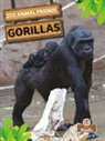 Amy Culliford - Gorillas