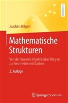 Joachim Hilgert - Mathematische Strukturen
