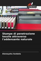 Alemayehu Senbeta - Stampe di penetrazione tessile attraverso l'addensante naturale