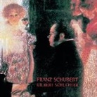 Franz Schubert - Das gesamte Klavierwerk, 12 Audio-CDs (Livre audio)