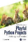 Mozgovoy Maxim, Mozgovoy (The University of Aizu) Maxim - Playful Python Projects