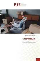 Steeves Rovial Hollet - L'USUFRUIT