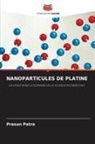 Prasun Patra - NANOPARTICULES DE PLATINE