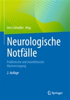 Jens Litmathe, Jens Litmathe (Prof. Dr. med.) - Neurologische Notfälle