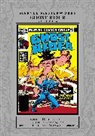 Bob Budiansky, Michael Fleisher, Fleisher Michael, Marvel Various, Stern Roger, Budiansky Bob - Marvel Masterworks: Ghost Rider Vol. 6