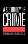 Peter Eglin, Eglin Peter, Stephen Hester - A Sociology of Crime