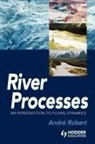Andre Robert, André Robert, Robert Andre - RIVER PROCESSES: An introduction to fluvial dynamics