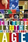 James Lull, Lull James - Culture in the Communication Age