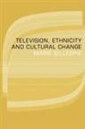 Marie Gillespie - Television, Ethnicity and Cultural Change