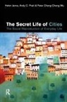 Peter Cheng-Chong Wu, Helen Jarvis, Andy C Pratt, Andy C. Pratt - The Secret Life of Cities