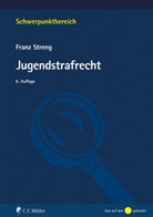 Franz Streng, Franz (Prof. Dr.) Streng - Jugendstrafrecht